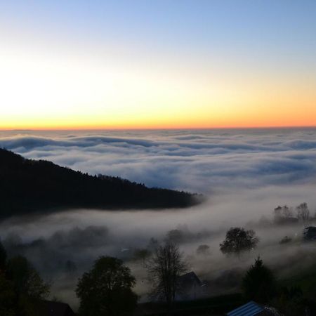 Bergweide 36 Lägenhet Sasbachwalden Exteriör bild